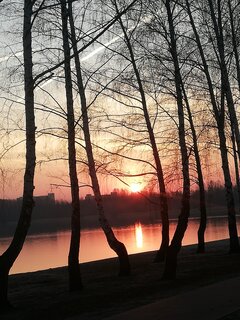 IMG_20190403_063228.jpg