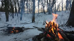 IMG_20210206_163744243.jpg