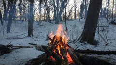 IMG_20210206_163738706.jpg