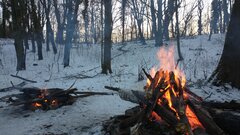 IMG_20210206_163745455.jpg
