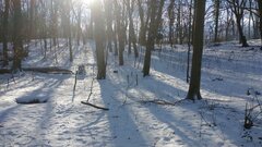 IMG_20210206_123501239.jpg
