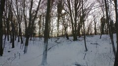 IMG_20210206_154213358.jpg