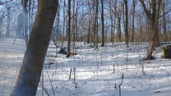 IMG_20210206_123449052.jpg