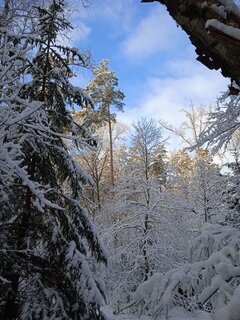 IMG_20210113_130342_1.jpg