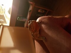 20210209_180118.jpg