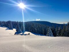 IMG_6613.jpg
