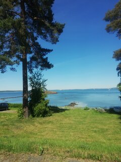IMG_20200601_160819.jpg