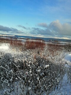 IMG_20210212_092010.jpg