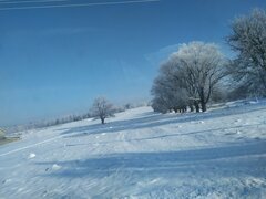 IMG_20210118_103745.jpg