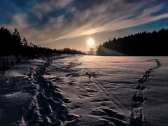 IMG_20210211_155501.jpg