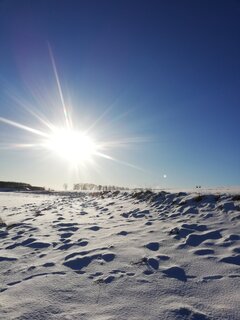 IMG_20210213_152108.jpg