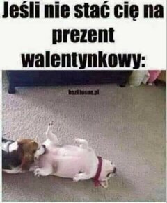 FB_IMG_1613234895360.jpg