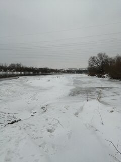 IMG_20210215_101642.jpg