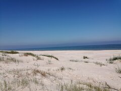 IMG_20200609_095700.jpg