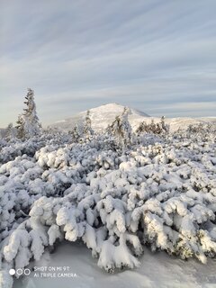IMG_20201227_090647.jpg