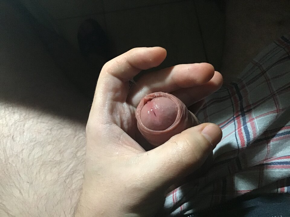 image.jpg - BrunecikBi