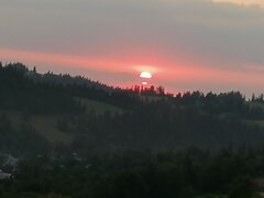 IMG_20200725_202030.jpg