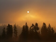 IMG_20200719_051955.jpg