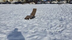 20210221_113537.jpg
