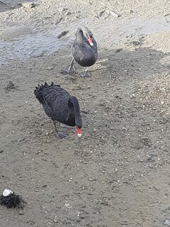 IMG-20210221-WA0003.jpg