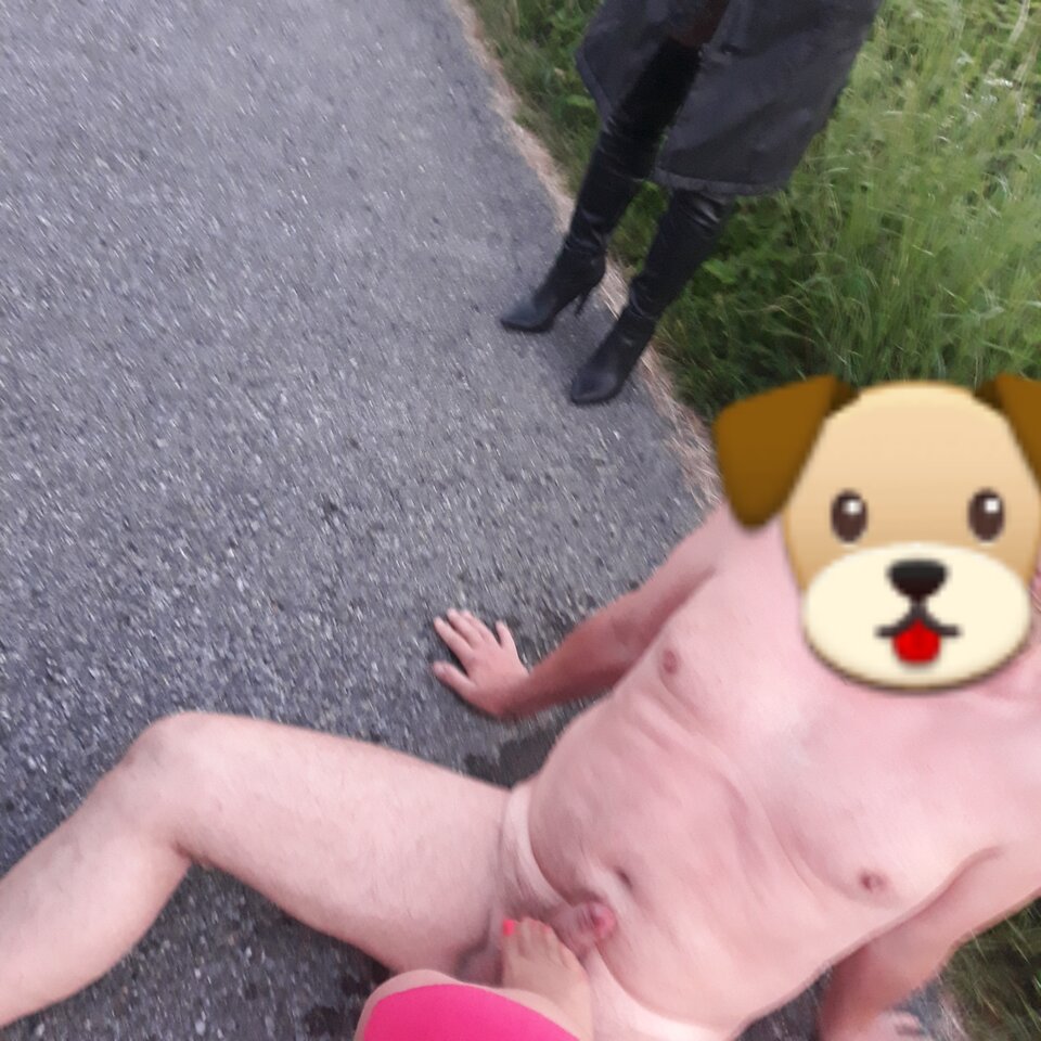 🐶 - Madamefetysz
