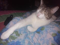 IMG_20210129_201127.jpg