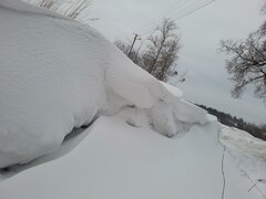 IMG_20210218_084519.jpg
