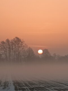 IMG20210225063836.jpg