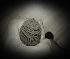 20210226_00302111.jpg