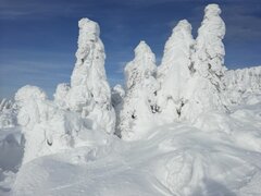 IMG_20210120_135520.jpg