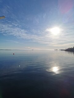IMG_20210228_093428.jpg
