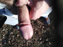 IMG_20210228_155333.jpg