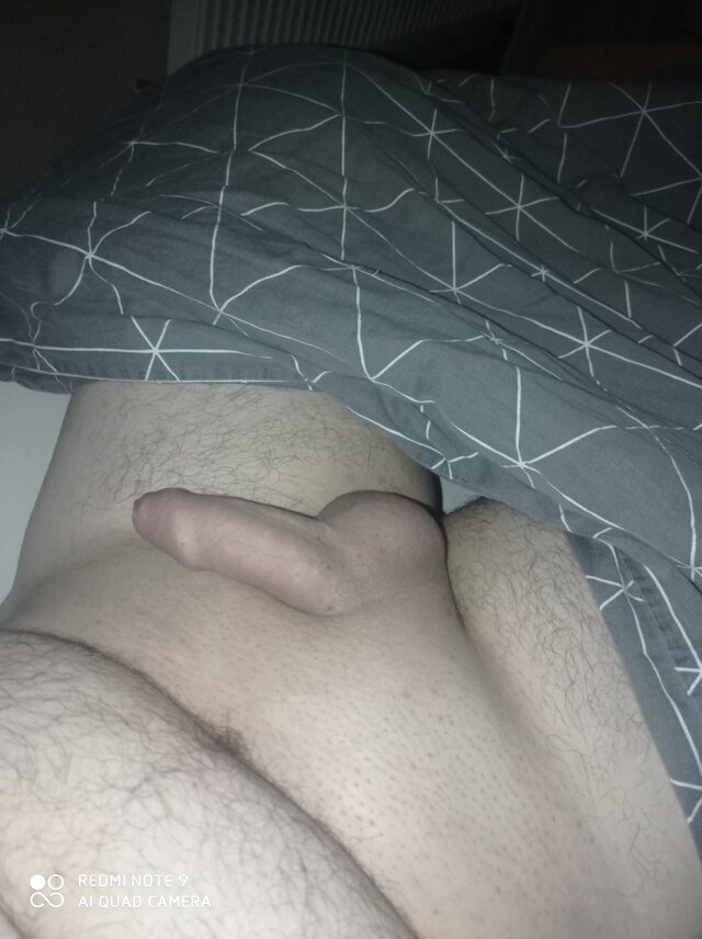 robert4064