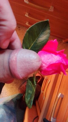 IMG_20210301_170111.jpg