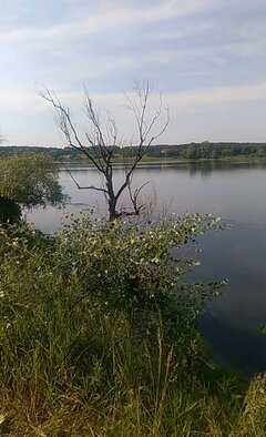 received_169131327262978.jpeg