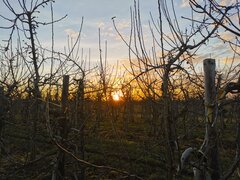 IMG_20210224_173750.jpg