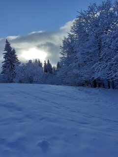 20210109_135306.jpg