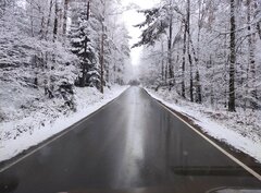 IMG_20210305_112456.jpg