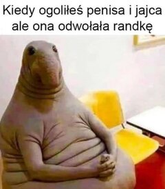 comment_1581703057Yc6FvTvlLZ0wrW6PLnWtwh.jpg