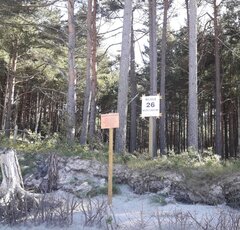 IMG_20210306_003249.jpg