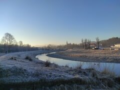 IMG_20210302_070517.jpg