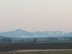 20210306_174403.jpg