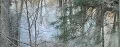 IMG_20210307_181557.jpg