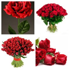 20210308_051613-COLLAGE.jpg