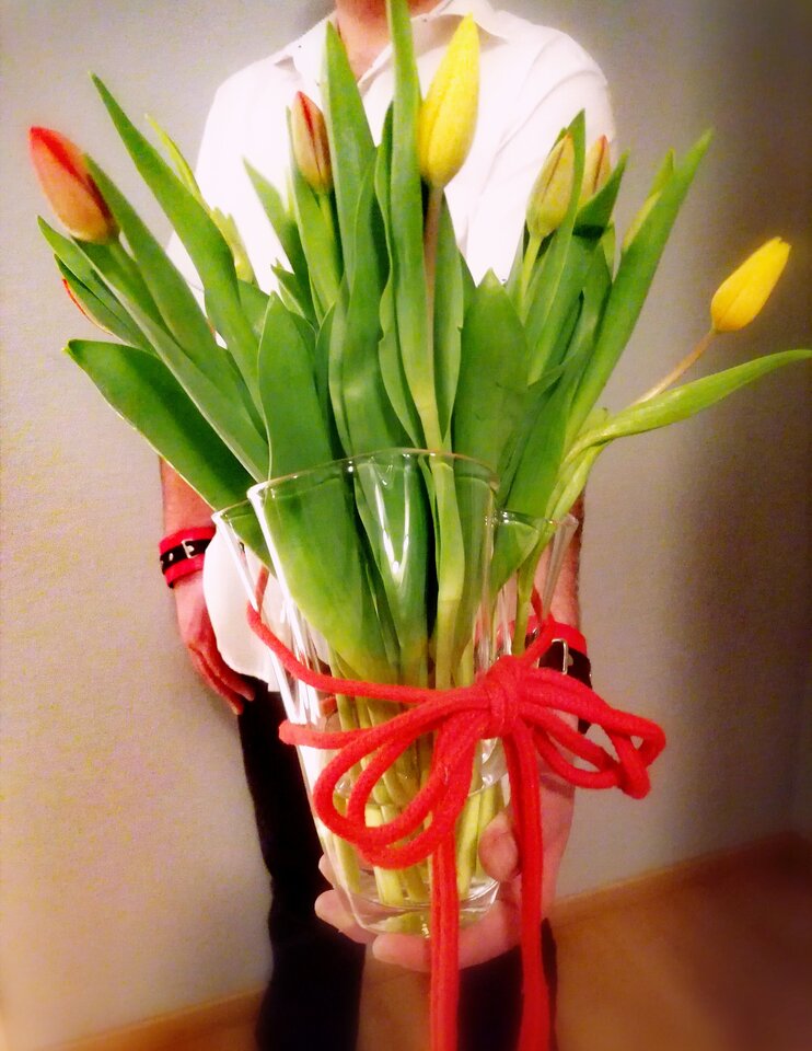 🌷🌷🌷 - ParaNowa8991