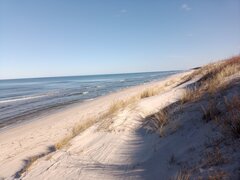 IMG_20210309_110646_961.jpg