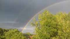 20180814_185900.jpg
