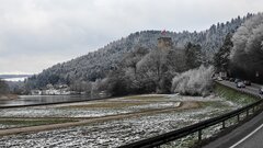 IMG_20210406_102608.jpg