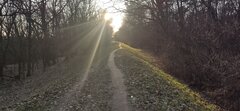 IMG_20210331_181545.jpg