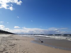 20210319_135408.jpg